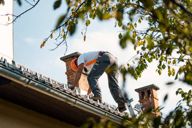 Best Emergency Roof Repair  in Magee, MS