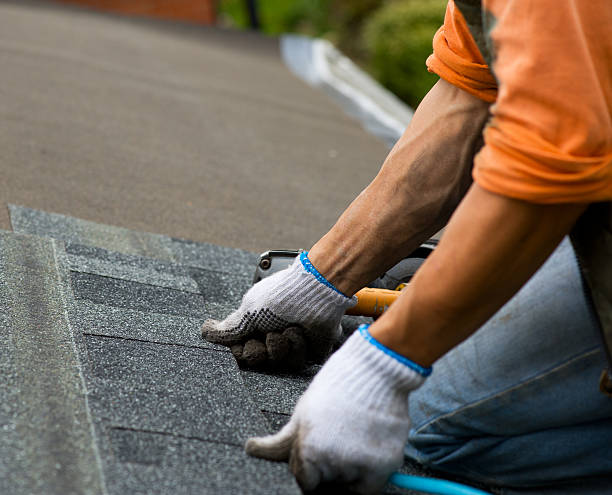 Best Metal Roofing Contractor  in Magee, MS