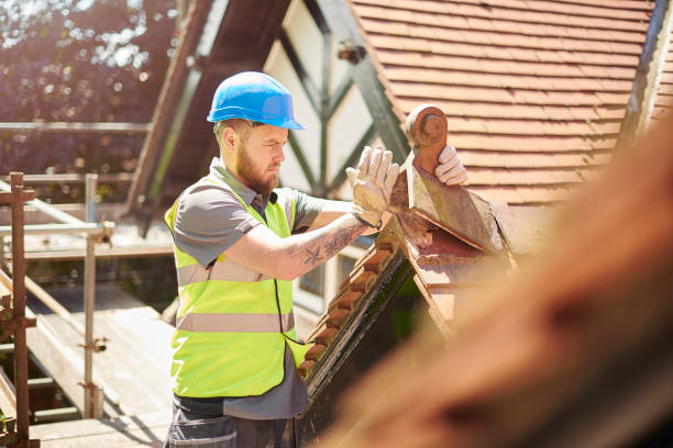 Best Roof Maintenance Services  in Magee, MS