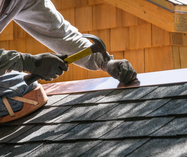 Best Shingle Roofing Installation  in Magee, MS